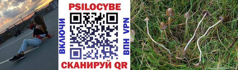 Псилоцибиновые грибы Psilocybine cubensis Купить Голицыно