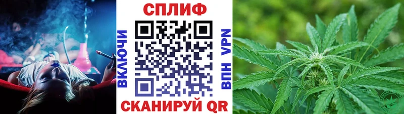 Шишки марихуана THC 21%  Купить где  Голицыно 